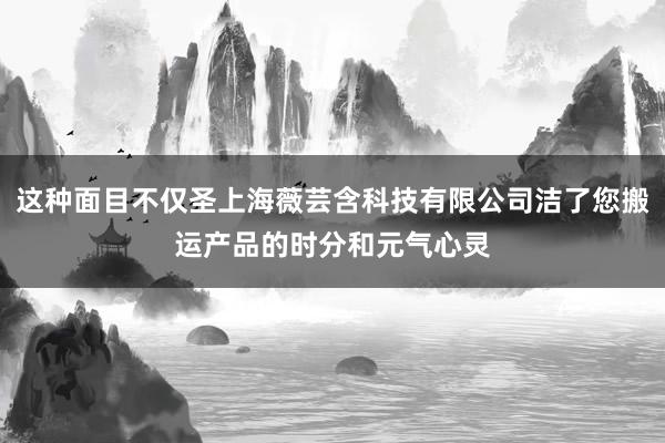 这种面目不仅圣上海薇芸含科技有限公司洁了您搬运产品的时分和元气心灵