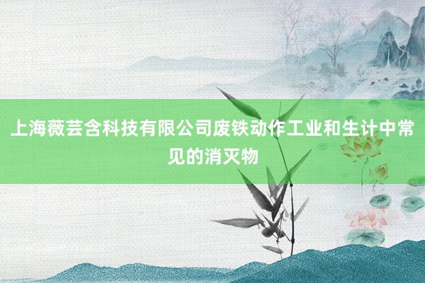 上海薇芸含科技有限公司废铁动作工业和生计中常见的消灭物